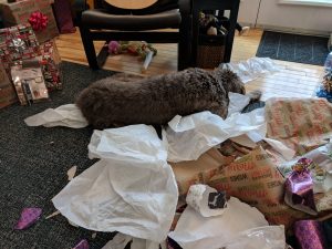 Siena, after opening her Christmas presents.